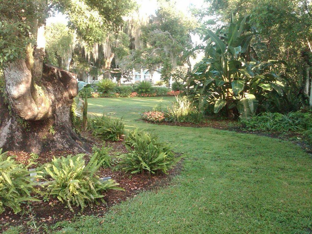 Lakeside Inn On Lake Dora Маунт Дора Екстериор снимка
